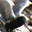 Black Tern