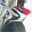 Pileated Woodpecker