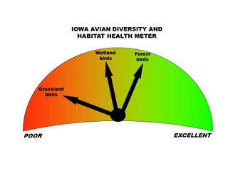Avian Habitat Health Meter